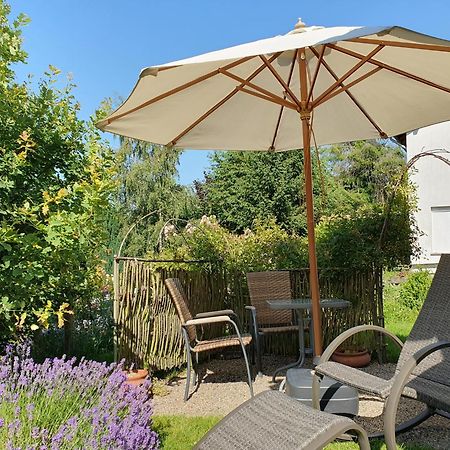 Apartament Haus Nordlicht Horn-Bad Meinberg Zewnętrze zdjęcie