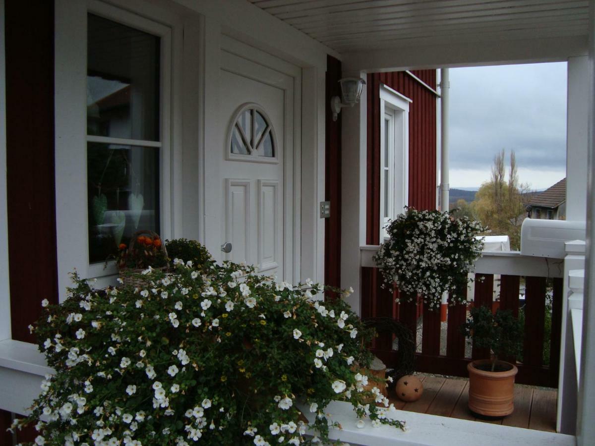 Apartament Haus Nordlicht Horn-Bad Meinberg Zewnętrze zdjęcie